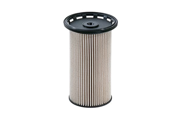 SC 7073 P
