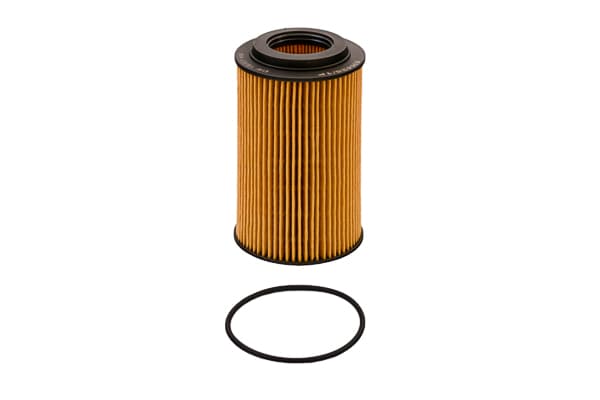 SH 425/1 P Filter